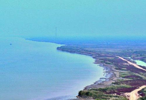 黄河入海处的自然奇观