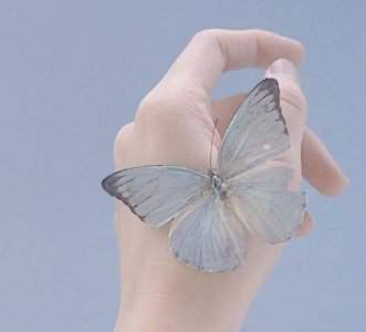 ​2025年六一儿童节唯美句子祝福语(精选84句)