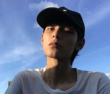 常用花的优美句子集锦80条