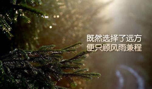 ​给老师的教师节祝福语2025年(精选111句)