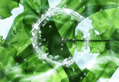 ​雅诗兰黛深海藻系列怎么样_多少钱_怎么用