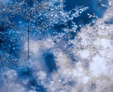 ​五月初五端午祝福句子合集95句