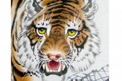 ​生肖虎人最倒霉的年龄 属虎的人倒霉的年龄是哪几个年龄阶段