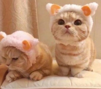 ​2025国庆节72周年祝福语简短大全(精选96句)