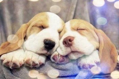 ​表达寂寞的句子100句