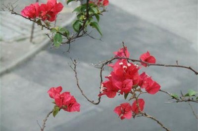 ​告别网络的句子74句