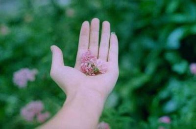 ​优美的人生哲理句子