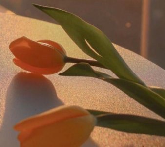 ​【精选】2025劳动节群发祝福贺词大全汇编95句