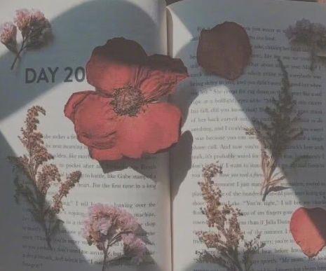 ​牛年春节拜年微信祝福语短句