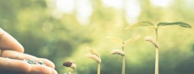 ​电子社保卡怎么申请如何签发电子社保卡