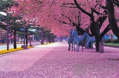 ​早上好的问候句子(精选260句)