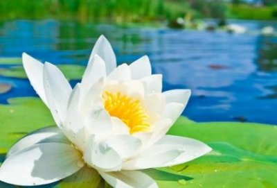 ​蜂蜜过了保质期还能不能吃蜂蜜的保质期是多长时间就不能吃了