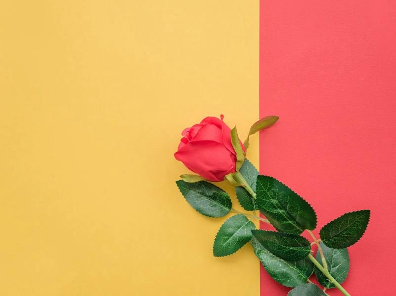 关于精神的名言名句(100句)