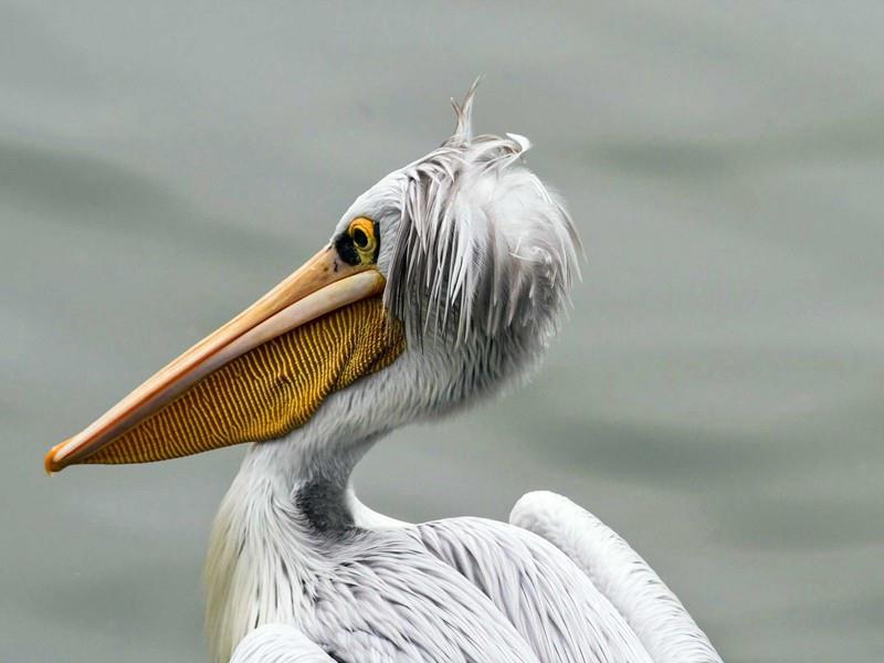 关于忠诚的名言名句(70句)