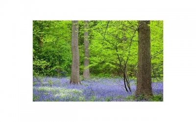 ​卖茶叶发朋友圈的经典句子精选10句