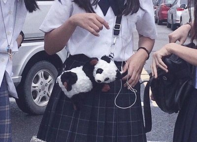 ​描写跳绳的优美句子集体跳绳精选12句