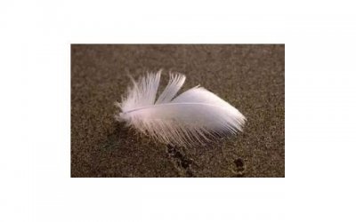 ​可笑的句子经典语录短句汇聚96句