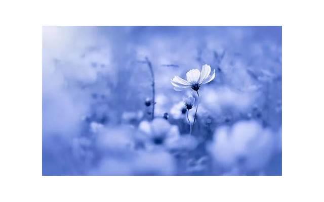 最暖感人的情话短句子（土味情话撩妹子）