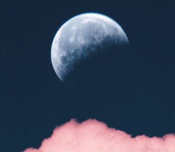 ​表白七夕情人节祝福语短信