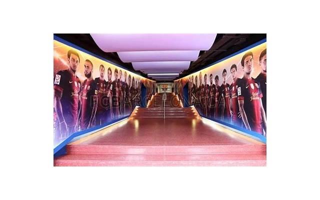 写莲蓬的句子精选222句 写莲蓬的句子精选222句