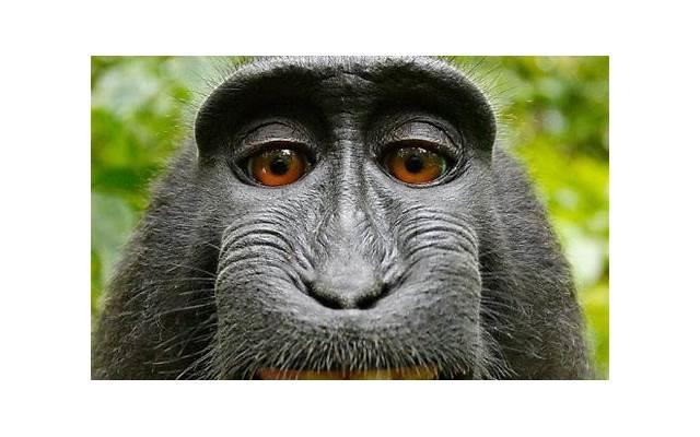 表达新年的开始的句子精选147句 表达新年的开始的句子精选147句