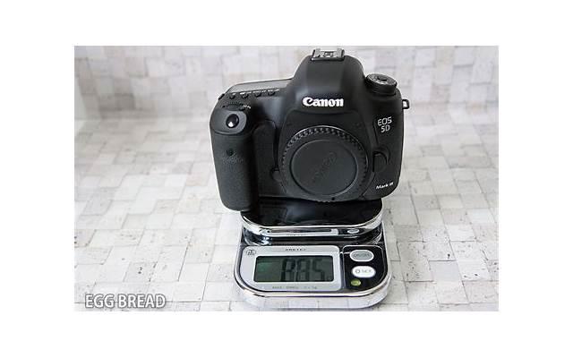 不想在外漂泊的经典短句精练80条 不想在外漂泊的经典短句精练80条