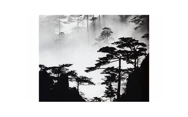 二胡拜师唯美短句八个字摘录66句 二胡拜师唯美短句八个字摘录66句