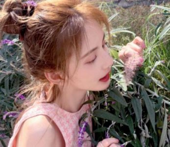 ​温暖文艺简短的祝福语 结婚祝福语小清新文艺