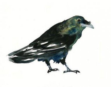 ​有关高考的励志句子