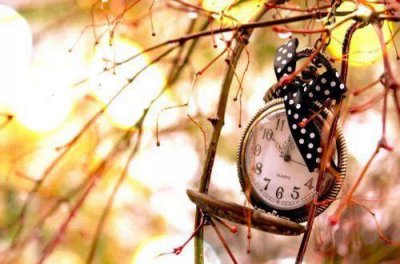 ​描写春天向日葵的优美句子