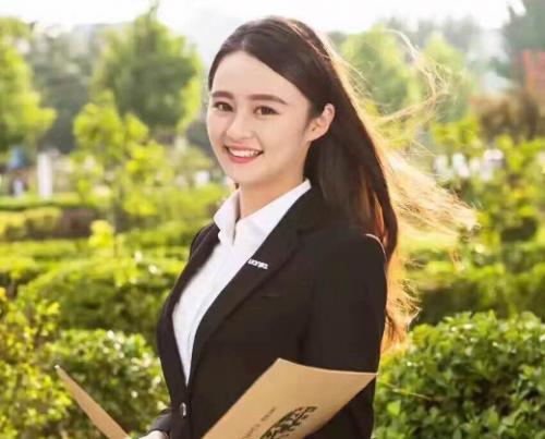 描写春天向日葵的优美句子