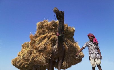 ​阿哲离开YY成为压死骆驼的最后一根稻草，“拯救不了却能整死”