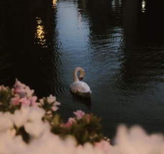 ​婚礼的祝福文案句子 婚礼祝福文案(精选75句)