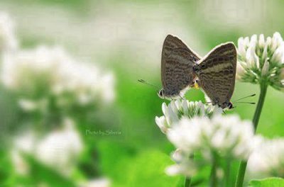 ​119消防宣传日祝福语最新(精选42条)