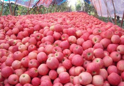 ​如何做水果生意