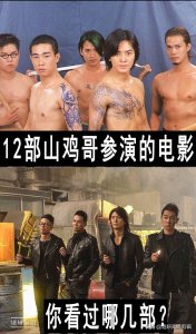 ​12部山鸡哥参演的电影，你看过哪几部？哪部最好看？