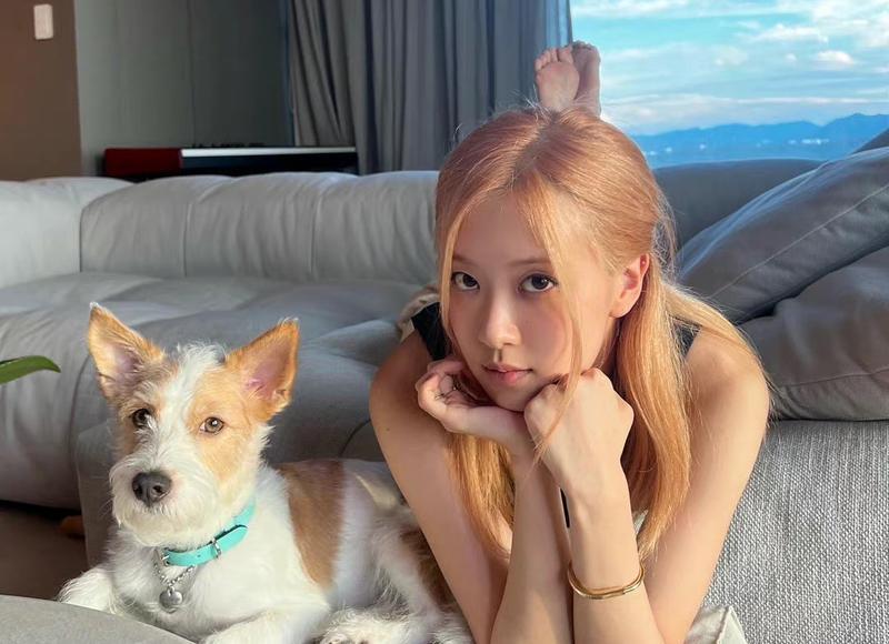 彩虹经典语录短句集锦100条 彩虹经典语录短句集锦100条