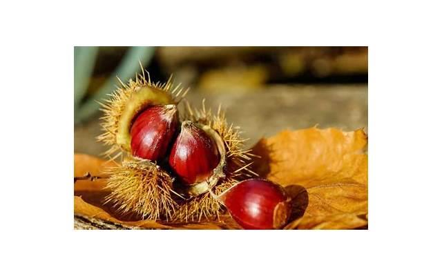 萤火之森经典台词短句锦集100条 萤火之森经典台词短句锦集100条