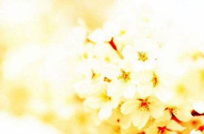 ​让班主任看了感动的话(精选63句)