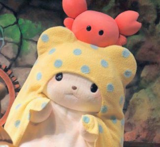 ​日常短信问候语