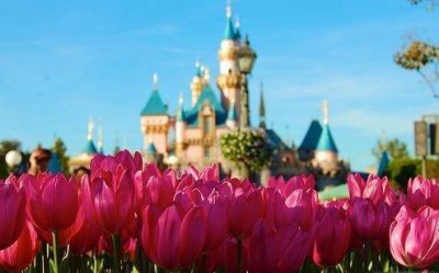 ​十字以内小情话 情侣留言短句子十字