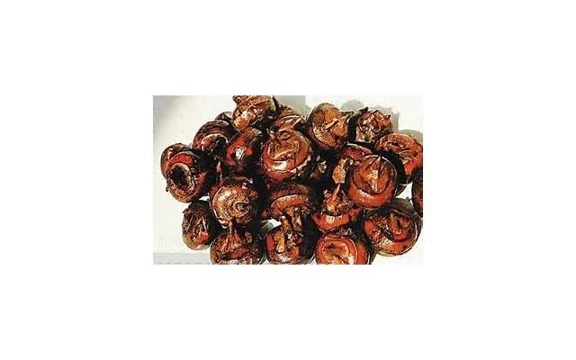 男人好难的经典语句(男人的心声经典语句)