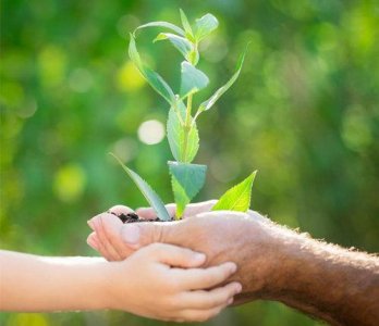 ​庆祝元旦精美文案大全最文艺的祝福语(精选89句)