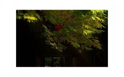 ​最能撩动女人心的情话