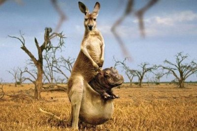 ​爱情的经典名言 爱的名言(精选84句)