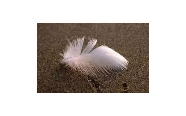  表达自己的幸福的句子简短聚集96条