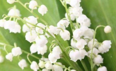 ​罗志祥名言名句、语录