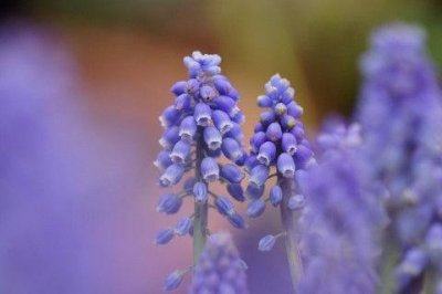 ​商场周年庆祝福语