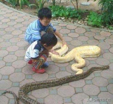 奇葩六张搞笑图:我居然被美团判定刷单给我封号了