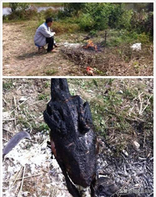 奇葩六张搞笑图:我居然被美团判定刷单给我封号了